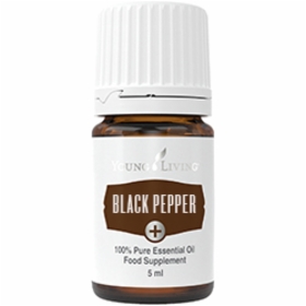 Black_Pepper_Plus.jpg&width=280&height=500