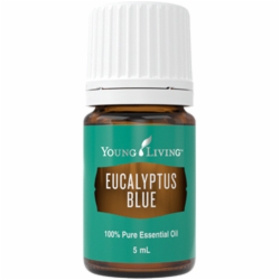 Eucalyptus_blue&width=280&height=500