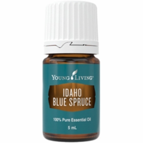Idaho_blue_spruce&width=280&height=500