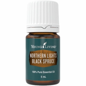 Northern_Lights_black_spruce&width=280&height=500