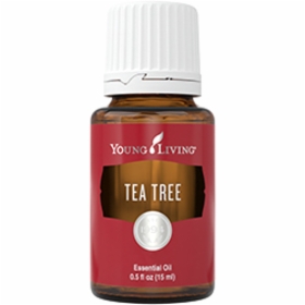 Tea_Tree.jpg&width=280&height=500